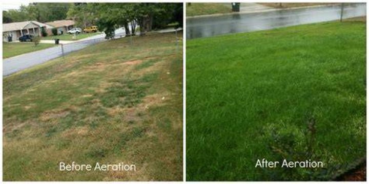 Should I mow before or after aeration?