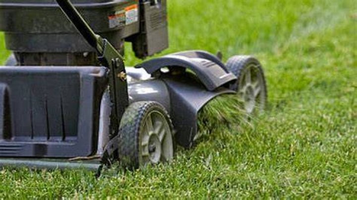 Should I mulch or side discharge?