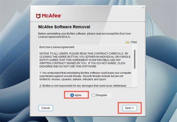 Should I remove McAfee from Windows 11?