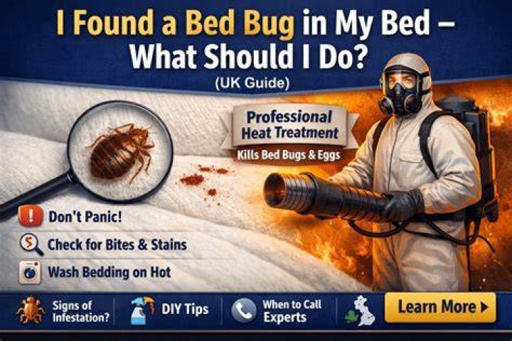 Should I sleep in my bed if I found a bed bug?