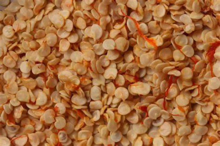 Should I soak pepper seeds before planting?