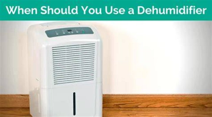 Should I use A dehumidifier in the winter?