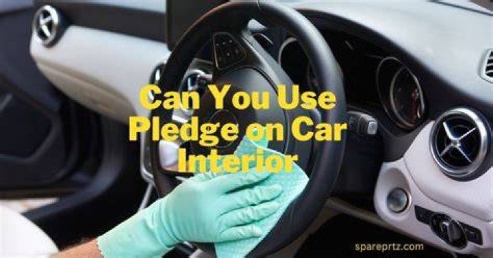 Should I use Pledge?