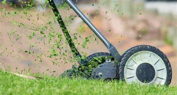 Should You Leave lawn clippings on lawn?
