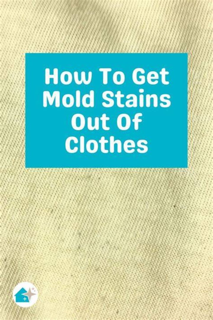 Should you throw away clothes with mold?