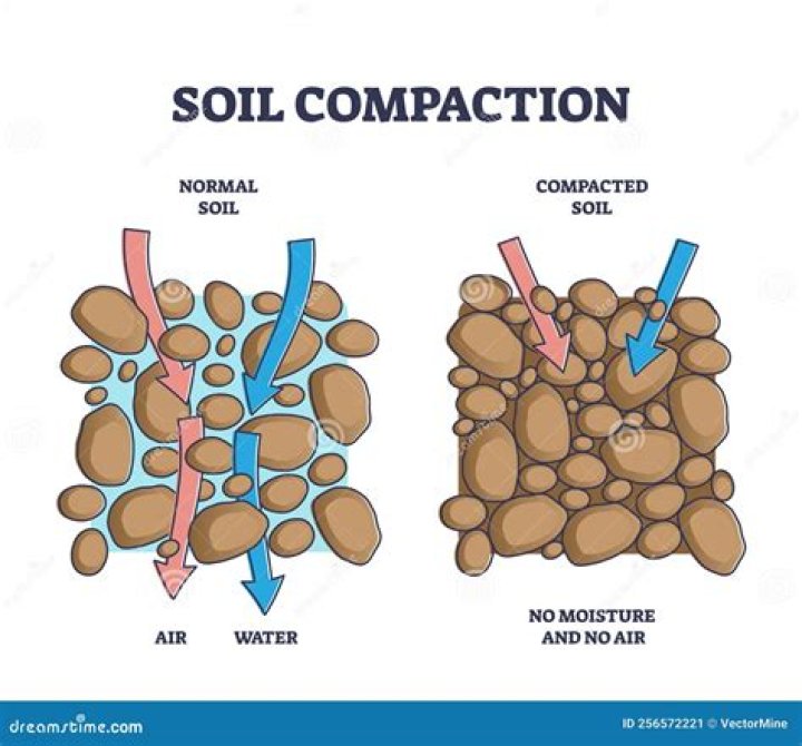 Should you till compacted soil?