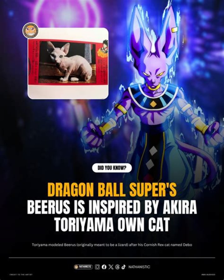 Was Beerus originally a mortal?