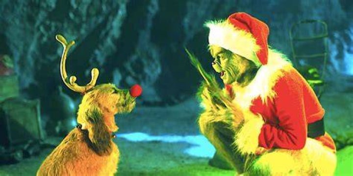Was Max abused in the Grinch?