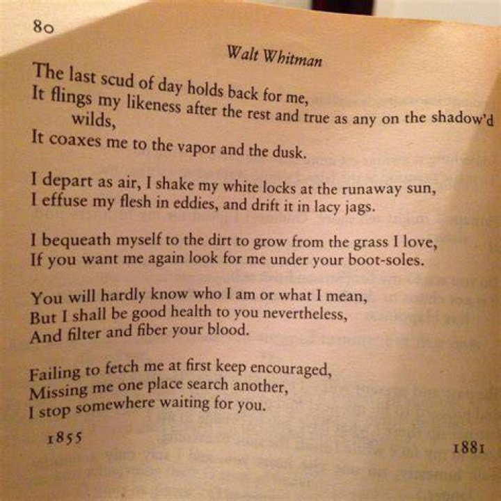 Was Walt Whitman a dark romantic?