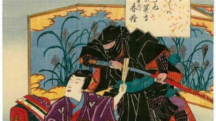Were there Korean ninjas?