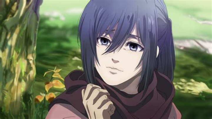 What's Mikasa's last name?