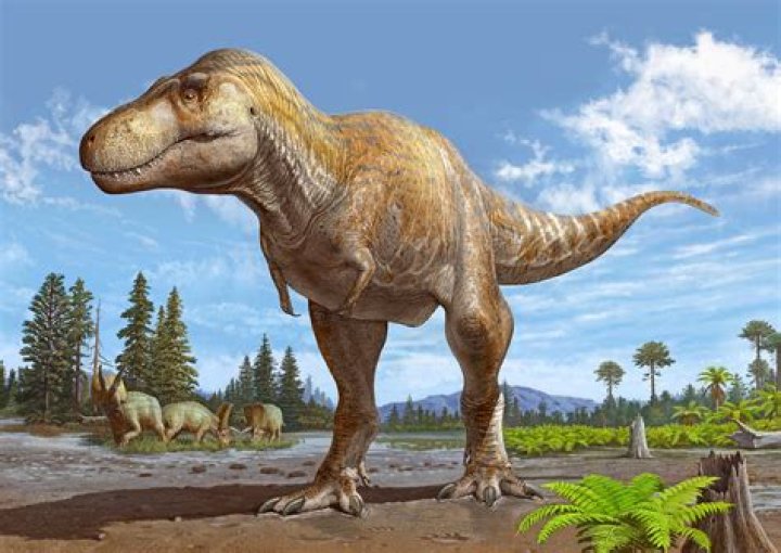 What's the closest living animal to a dinosaur?