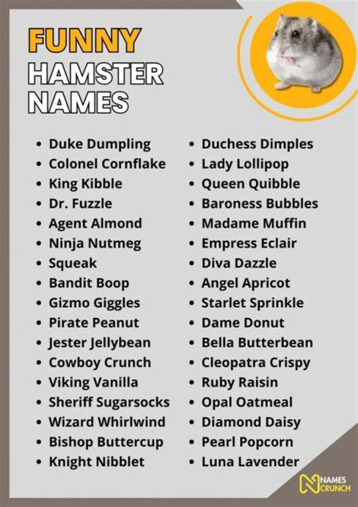 What's the cutest name for a hamster?