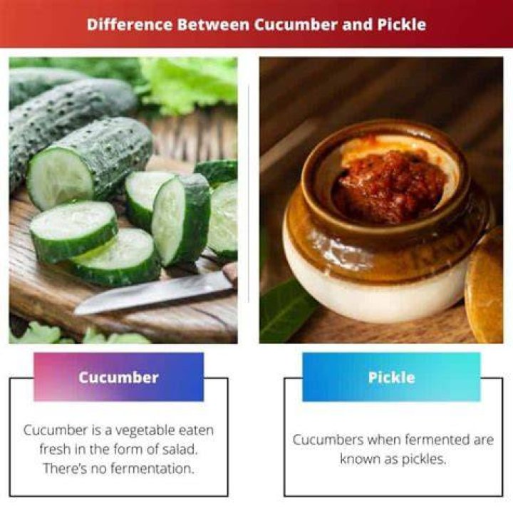 What's the difference between a pickle and a pickled cucumber?