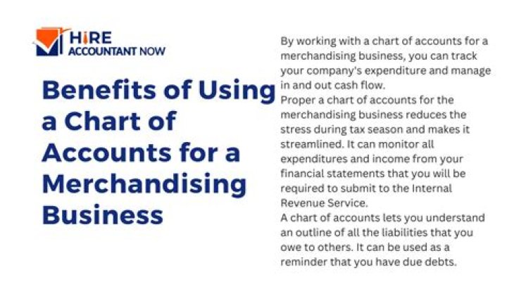 What accounts are used in a merchandising business?
