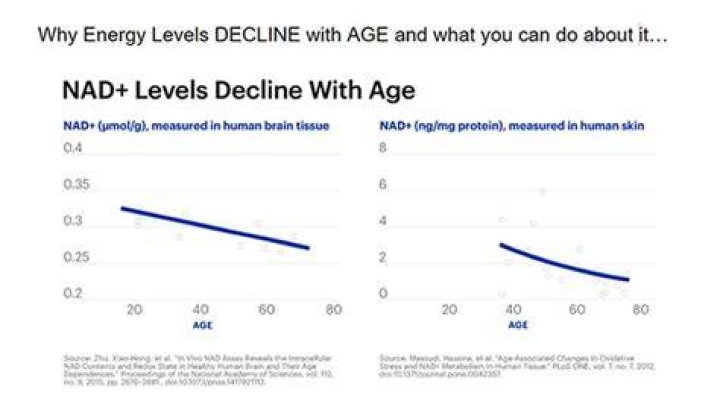 What age does your energy start to decline?