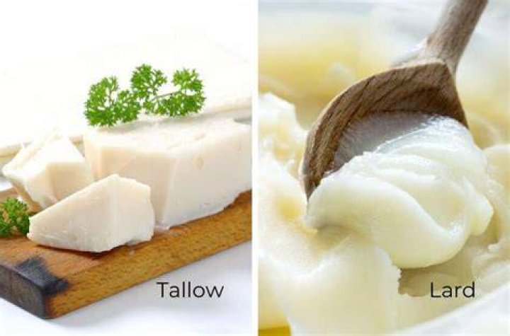 What animal does lard come from?