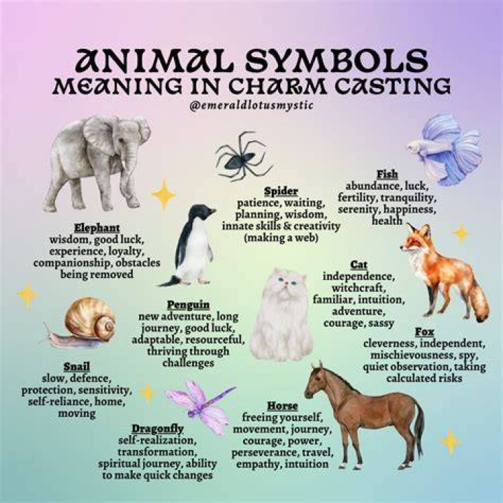 What animal represents illusion?