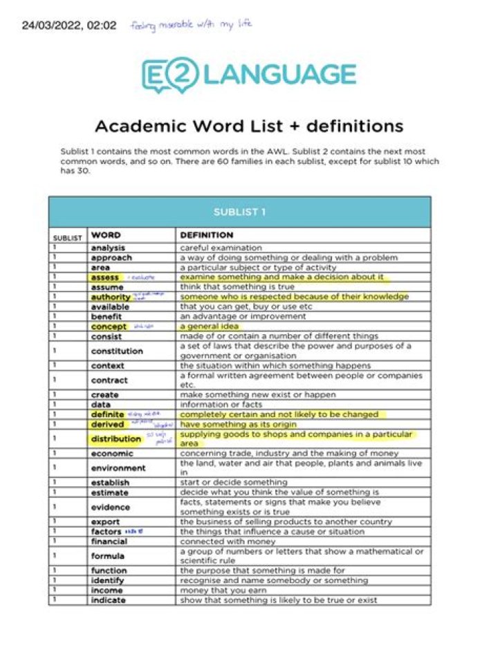 What are 2 definitions for the word mine?