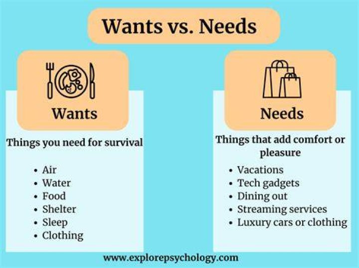 What are 3 examples of wants What are 3 examples of needs?
