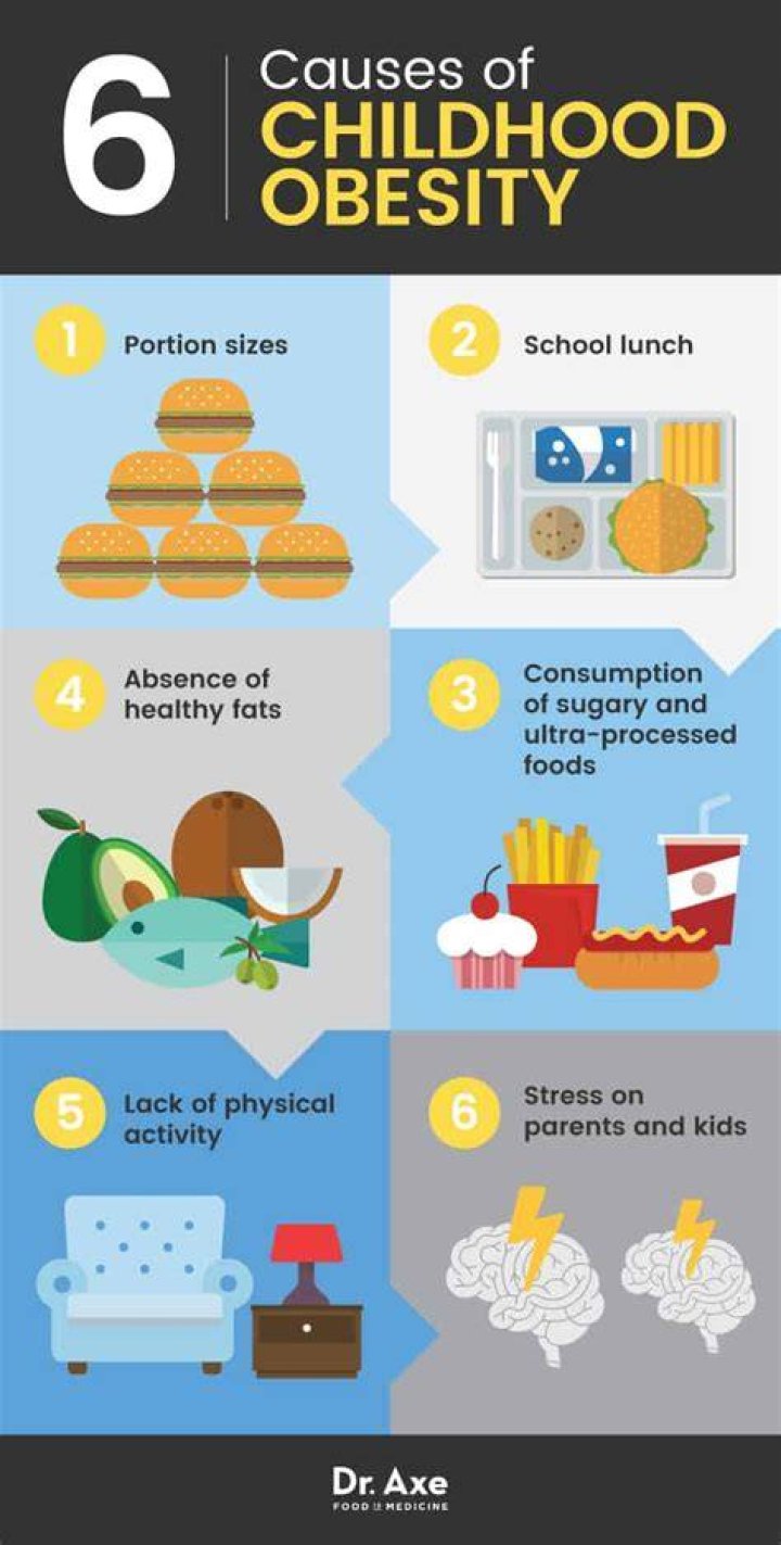 What are 6 foods that cause obesity?