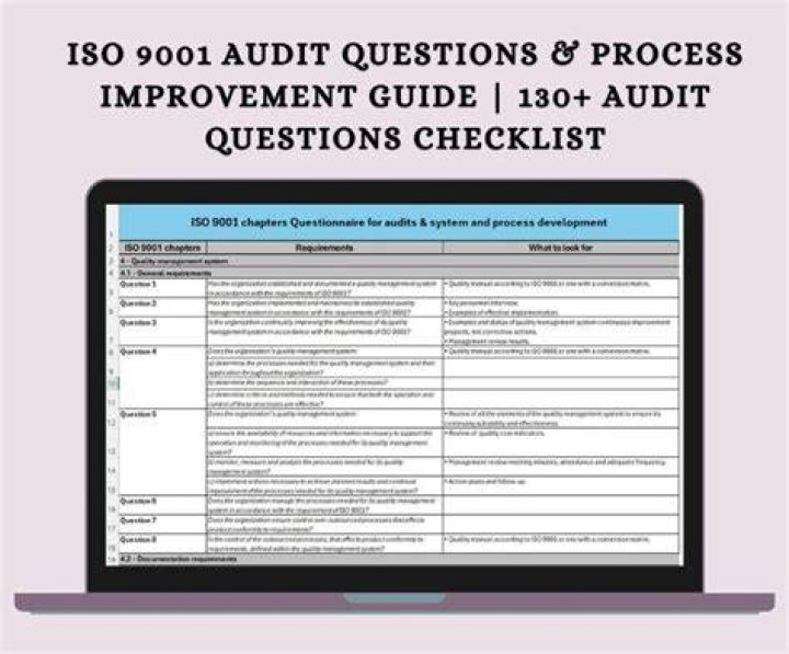 What are audit questions?