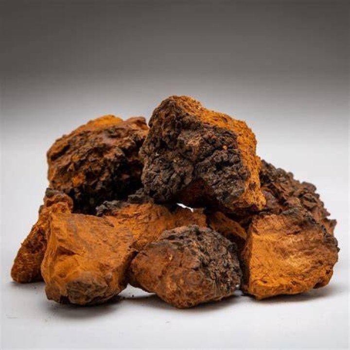 What are chaga chunks?