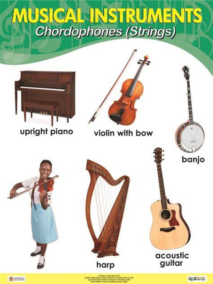 What are chordophone instruments?