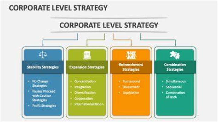 What are corporate level strategies?