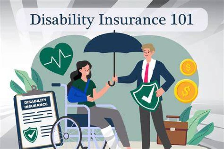What are disability insurance payments?