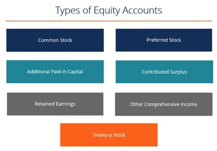 What are equity accounts used for?