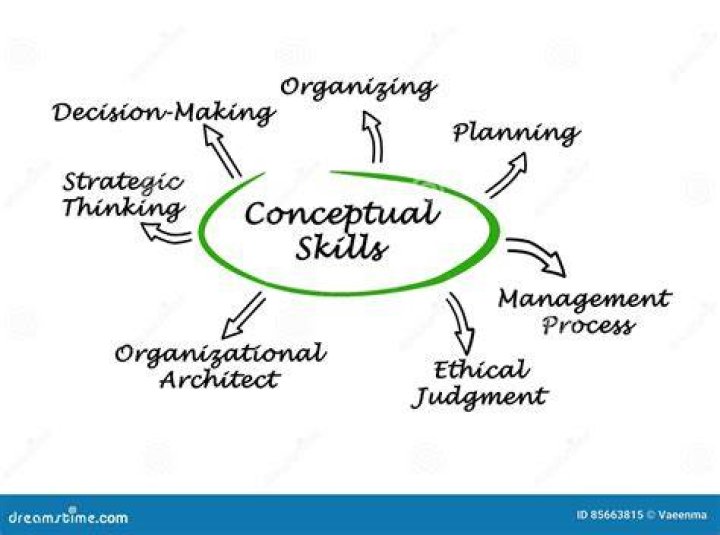 What are examples of conceptual skills?