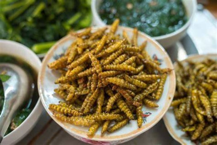 What are examples of exotic foods?