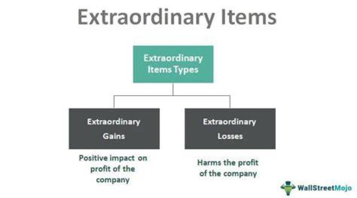 What are examples of extraordinary items in accounting?
