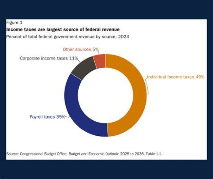 What are examples of federal revenue?