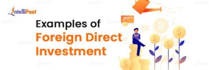 What are examples of foreign direct investment?