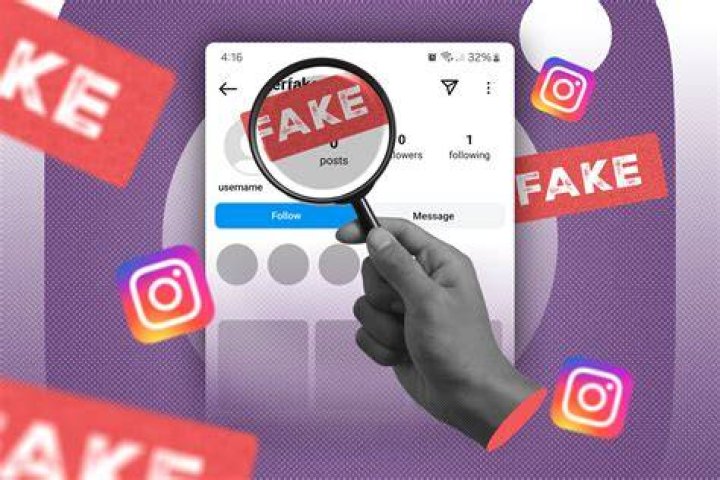 What are fake Instagram accounts called?