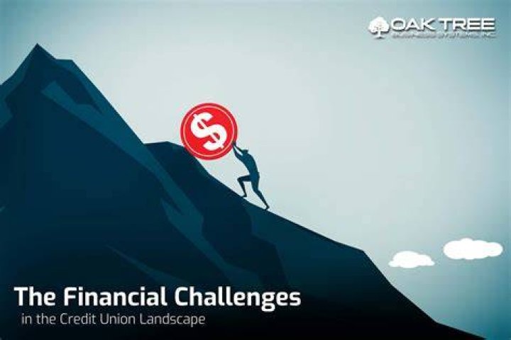 What are financial management challenges?