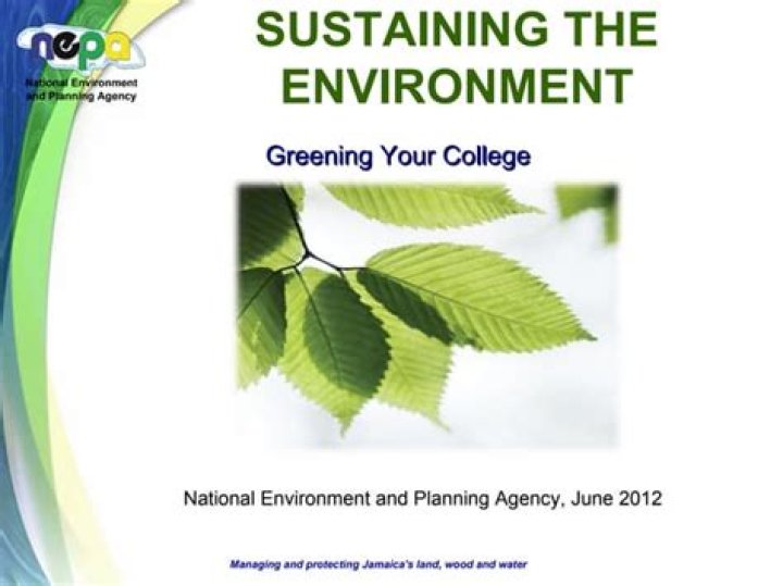 What are greening initiatives done by your department or college?