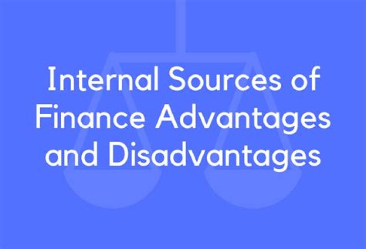 What are internal sources explain its advantages and disadvantages?