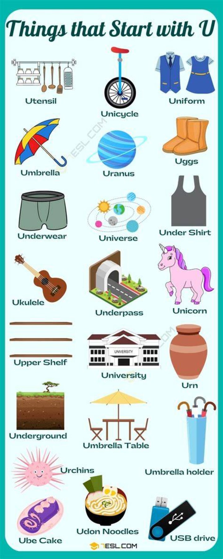 What are items that start with U?