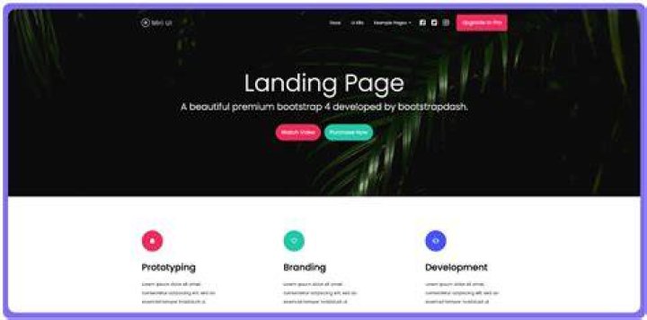 What are landing pages on a website?