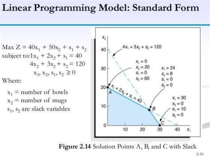 What are linear programming models?
