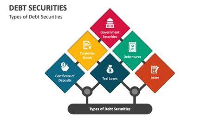 What are major types of debt securities options?