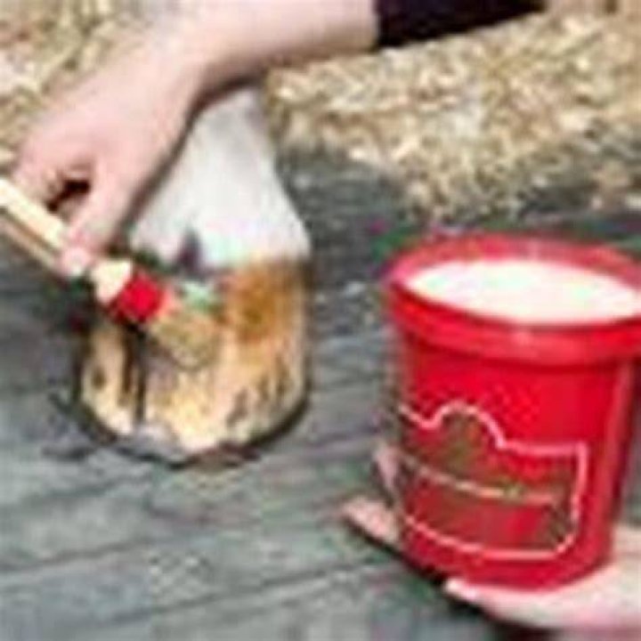 What are marshmallows made of horse hooves?