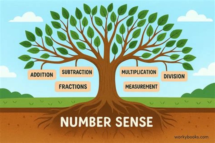 What are number sense concepts?