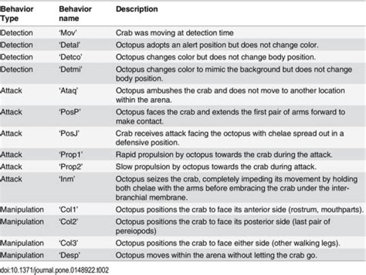 What are predatory behaviors?