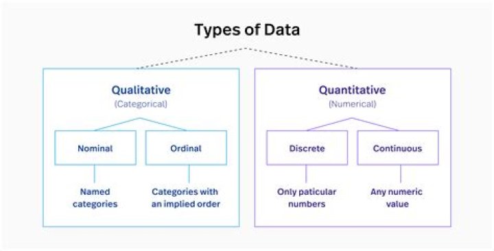 What are qualitative data types?