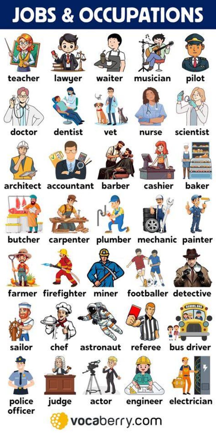What are related occupations to a dentist?