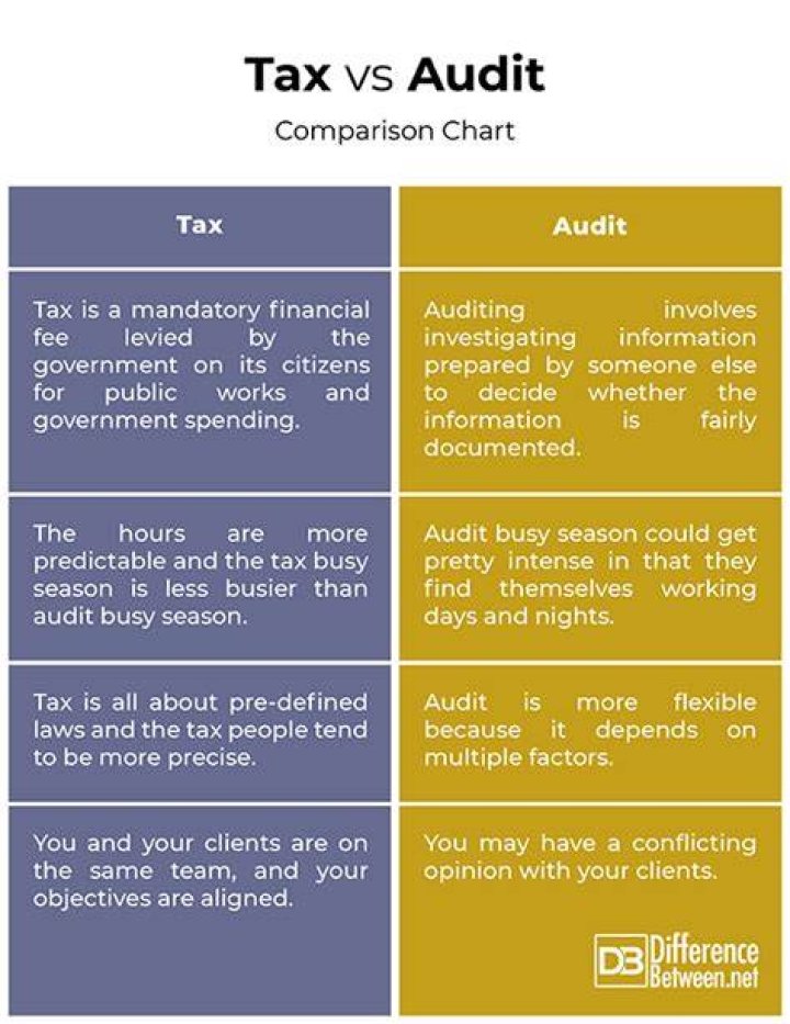 What are some differences between tax audit and consulting?